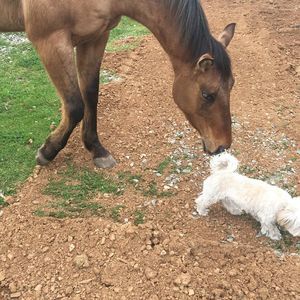 Meet your Posher, Amber